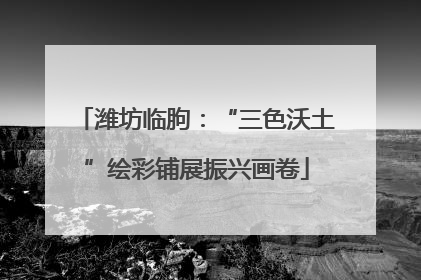 潍坊临朐：“三色沃土”绘彩铺展振兴画卷