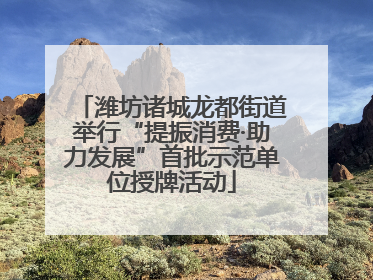 潍坊诸城龙都街道举行“提振消费·助力发展”首批示范单位授牌活动