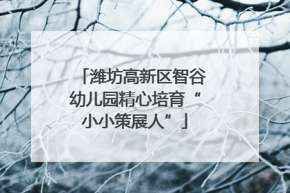 潍坊高新区智谷幼儿园精心培育“小小策展人”
