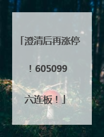 澄清后再涨停！605099六连板！