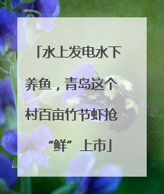 水上发电水下养鱼，青岛这个村百亩竹节虾抢“鲜”上市