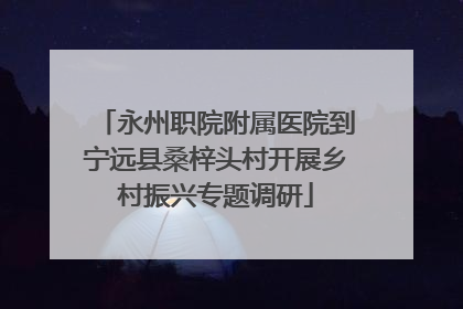 永州职院附属医院到宁远县桑梓头村开展乡村振兴专题调研