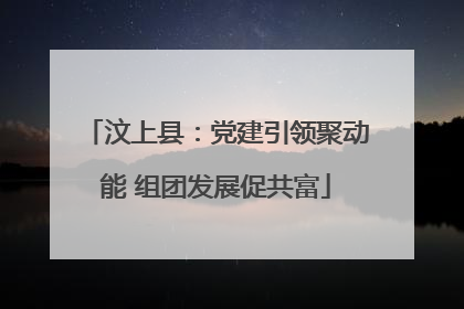 汶上县：党建引领聚动能 组团发展促共富