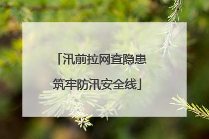 汛前拉网查隐患 筑牢防汛安全线