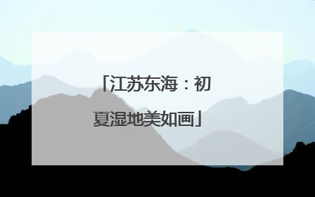 江苏东海：初夏湿地美如画