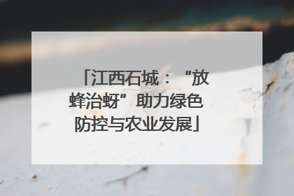 江西石城：“放蜂治蚜”助力绿色防控与农业发展