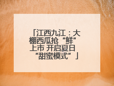 江西九江：大棚西瓜抢“鲜”上市 开启夏日“甜蜜模式”