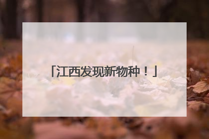 江西发现新物种！