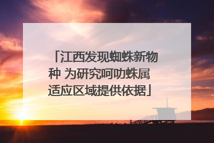 江西发现蜘蛛新物种 为研究呵叻蛛属适应区域提供依据