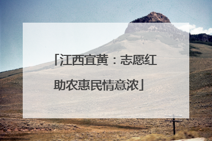 江西宜黄：志愿红助农惠民情意浓