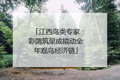 江西鸟类专家：彩鹮筑巢或撬动全年观鸟经济链