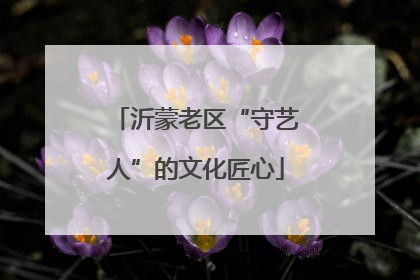 沂蒙老区“守艺人”的文化匠心