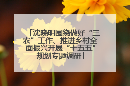 沈晓明围绕做好“三农”工作、推进乡村全面振兴开展“十五五”规划专题调研
