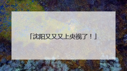 沈阳又又又上央视了！