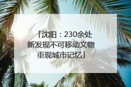 沈阳：230余处新发现不可移动文物重现城市记忆