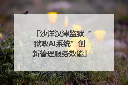 沙洋汉津监狱“狱政AI系统”创新管理服务效能