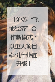 沪苏“飞地经济”合作新模式：以重大项目牵引产业链升级