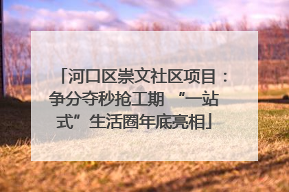 河口区崇文社区项目：争分夺秒抢工期 “一站式”生活圈年底亮相
