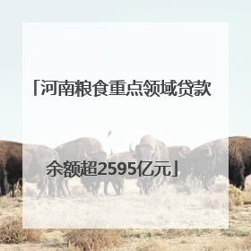 河南粮食重点领域贷款余额超2595亿元