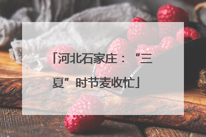 河北石家庄：“三夏”时节麦收忙