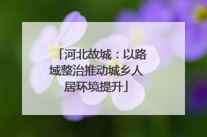 河北故城：以路域整治推动城乡人居环境提升
