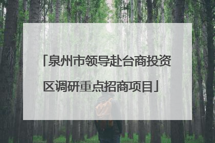 泉州市领导赴台商投资区调研重点招商项目