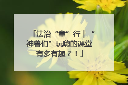 法治“童”行｜“神兽们”玩嗨的课堂有多有趣？！