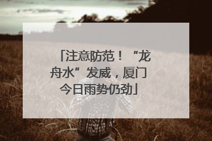 注意防范！“龙舟水”发威，厦门今日雨势仍劲