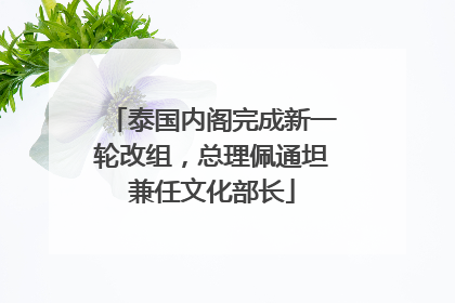 泰国内阁完成新一轮改组，总理佩通坦兼任文化部长