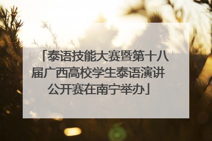 泰语技能大赛暨第十八届广西高校学生泰语演讲公开赛在南宁举办