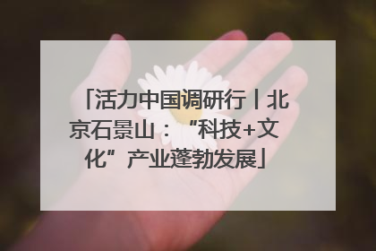 活力中国调研行丨北京石景山：“科技+文化”产业蓬勃发展