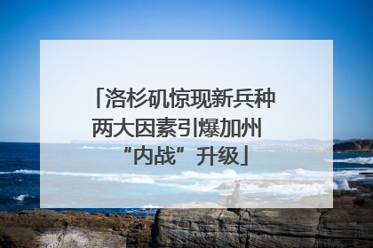 洛杉矶惊现新兵种 两大因素引爆加州“内战”升级