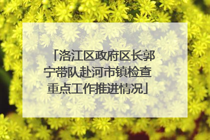 洛江区政府区长郭宁带队赴河市镇检查重点工作推进情况