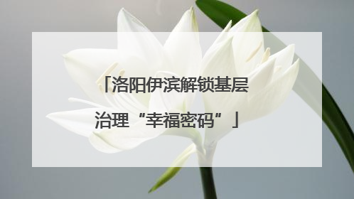 洛阳伊滨解锁基层治理“幸福密码”