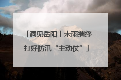 洞见岳阳丨未雨绸缪 打好防汛“主动仗”