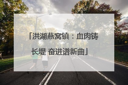 洪湖燕窝镇：血肉铸长堤 奋进谱新曲