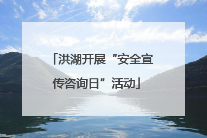 洪湖开展“安全宣传咨询日”活动