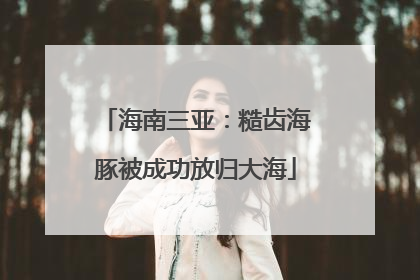 海南三亚：糙齿海豚被成功放归大海
