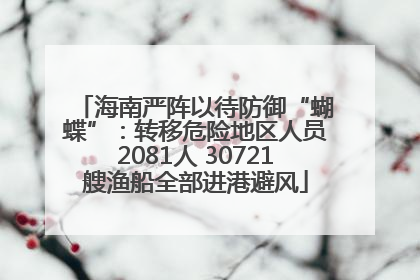海南严阵以待防御“蝴蝶”：转移危险地区人员2081人 30721艘渔船全部进港避风