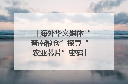 海外华文媒体“晋南粮仓”探寻“农业芯片”密码