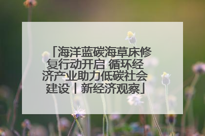 海洋蓝碳海草床修复行动开启 循环经济产业助力低碳社会建设丨新经济观察