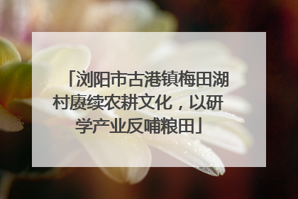 浏阳市古港镇梅田湖村赓续农耕文化，以研学产业反哺粮田