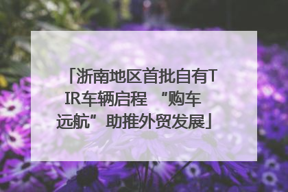 浙南地区首批自有TIR车辆启程 “购车远航”助推外贸发展