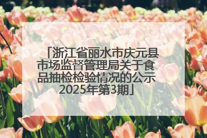 浙江省丽水市庆元县市场监督管理局关于食品抽检检验情况的公示2025年第3期