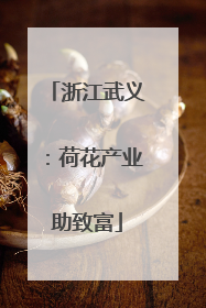 浙江武义：荷花产业助致富