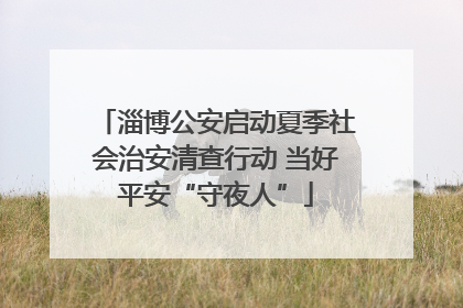 淄博公安启动夏季社会治安清查行动 当好平安“守夜人”