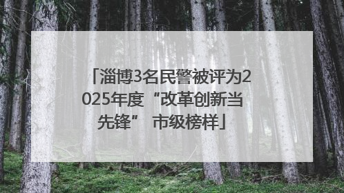 淄博3名民警被评为2025年度“改革创新当先锋” 市级榜样