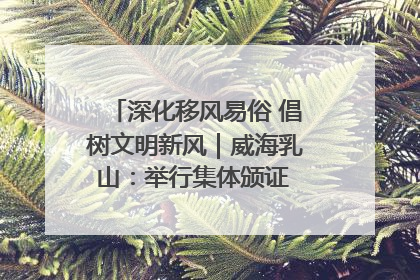 深化移风易俗 倡树文明新风｜威海乳山：举行集体颁证 倡导文明婚俗