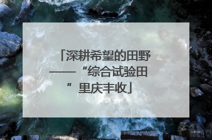 深耕希望的田野——“综合试验田”里庆丰收