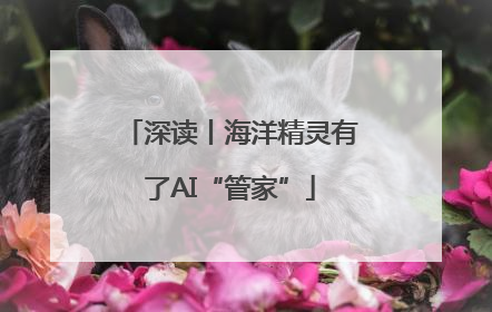深读丨海洋精灵有了AI“管家”
